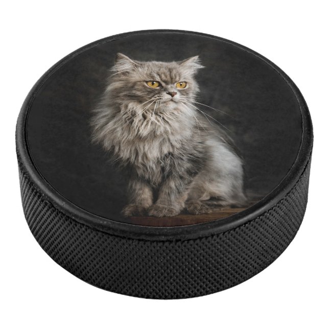 Palet De Hockey Chat gris duveteux  (3/4/2016 12:00:00 AM)