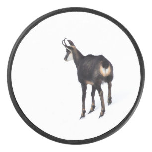 Palet De Hockey Chèvre montagneuse minimaliste chamois alpin sur n