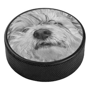 Palet De Hockey Chien de Coton de Tulear