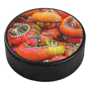 Palet De Hockey Citrouille coloré