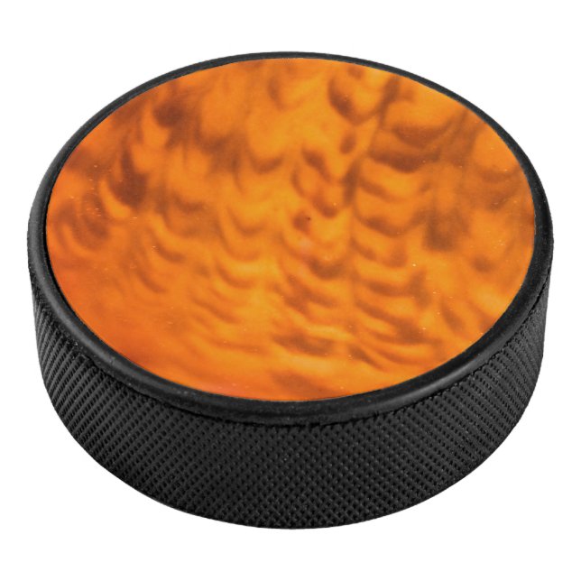 Palet De Hockey Coquillage hypnotique (3/4/2016 12:00:00 AM)