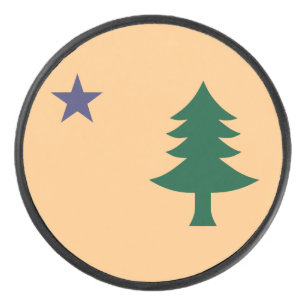 Palet De Hockey Drapeau historique du Maine (1901-1909) Camion de