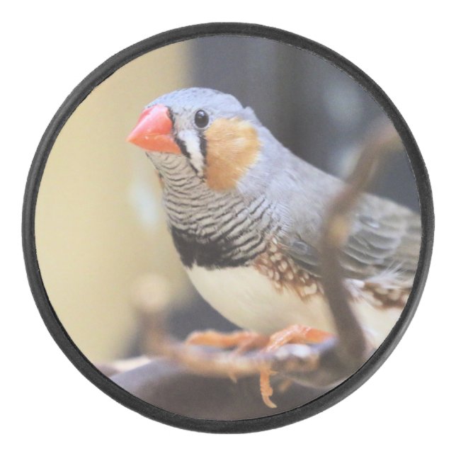 Palet De Hockey Finch (Devant)