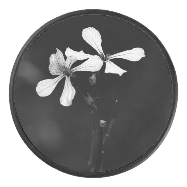 Palet De Hockey floral noir et blanc minimal (Devant)