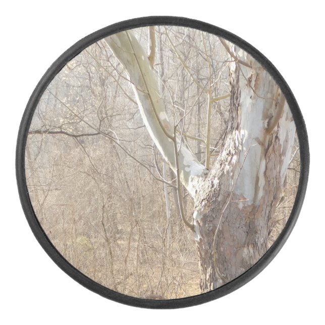 Palet De Hockey forêt hivernale (Devant)
