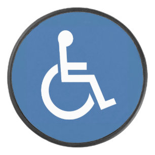 Palet De Hockey Handicapé