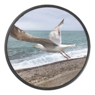 Palet De Hockey Le goëland d'Etretat français