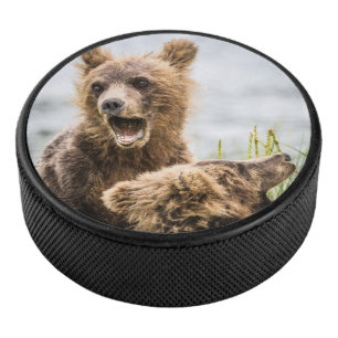 Palet De Hockey Les Cubs Grizzly À La Recherche De Leur Maman