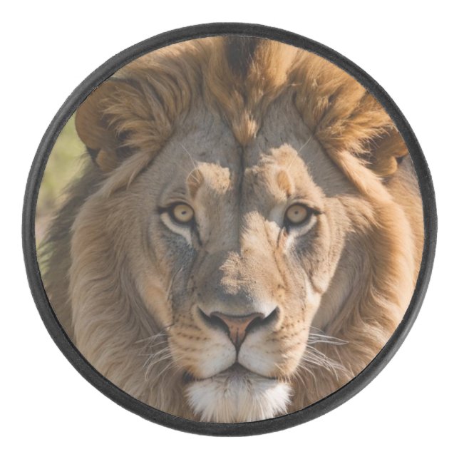 Palet de hockey Lion (Devant)