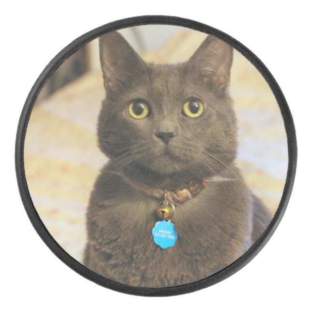 Palet De Hockey Mims (Devant)