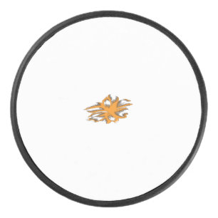 Palet De Hockey Orange jaunâtre, Jaune orangé