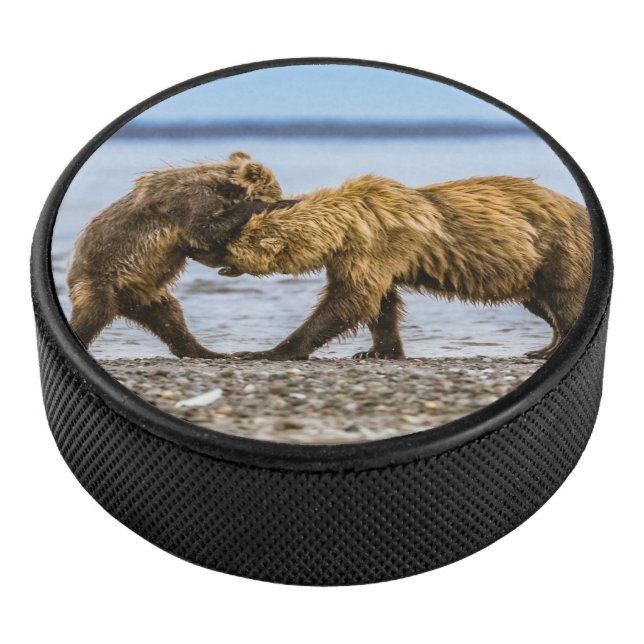 Palet De Hockey Ours brun côtier (3/4/2016 12:00:00 AM)
