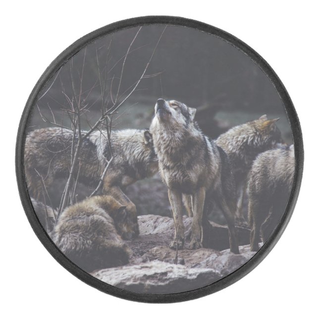 Palet De Hockey Pack Wolf (Devant)