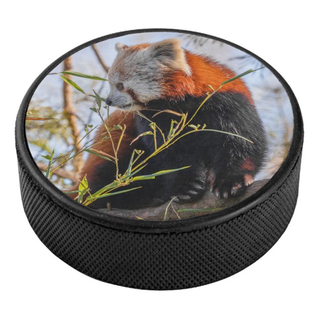 Palet De Hockey Panda rouge (3/4/2016 12:00:00 AM)
