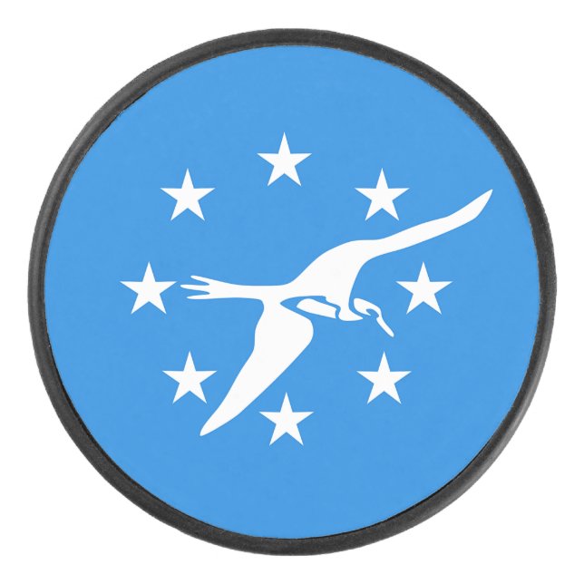 Palet De Hockey Patriotique hockeyeuse avec drapeau de Corpus Chri (Devant)