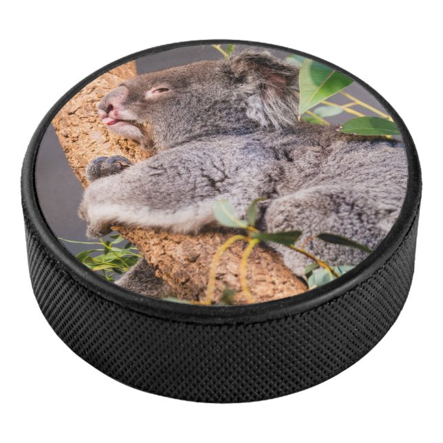 Palet De Hockey Petit koala doux (3/4/2016 12:00:00 AM)