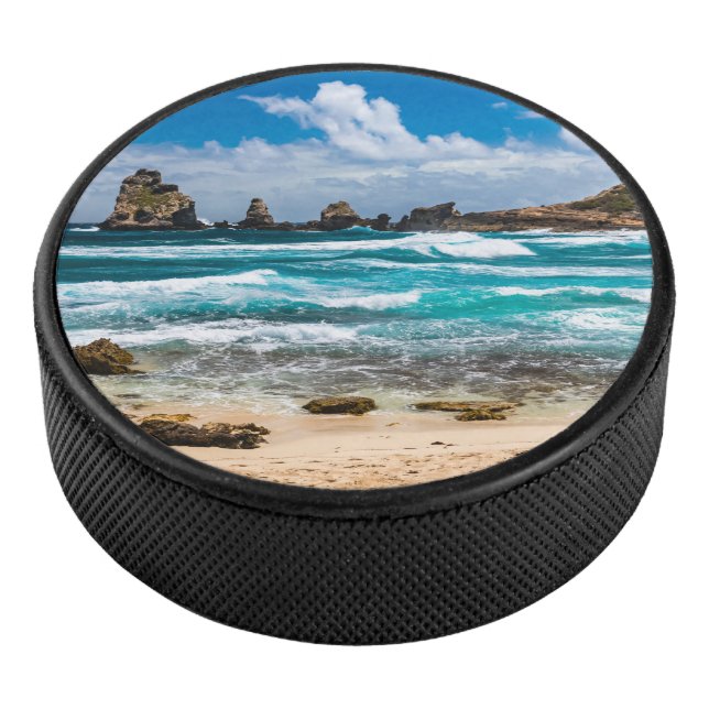 Palet De Hockey Pointe des Châteaux, Grande-Terre, Guadeloupe (3/4/2016 12:00:00 AM)