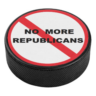 Palet De Hockey Puck