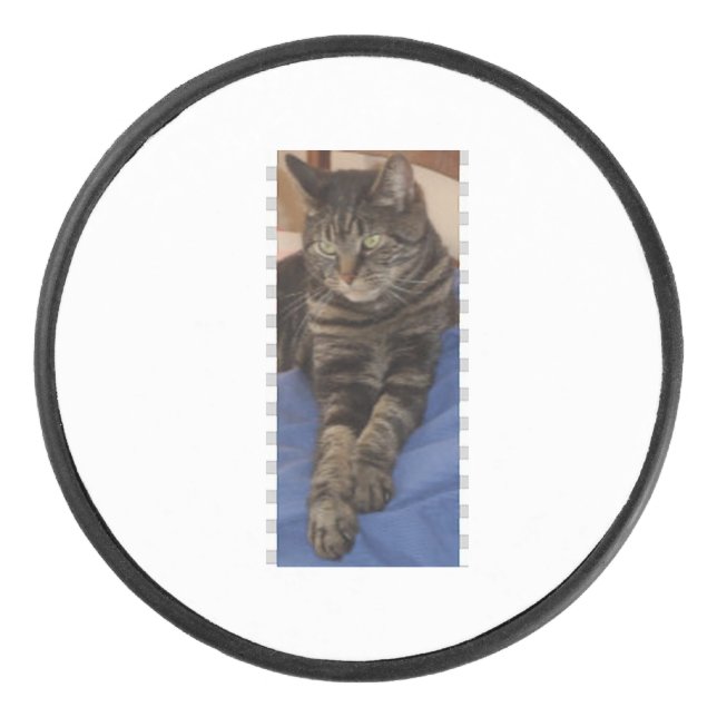 Palet De Hockey Regal Dave Hockey Puck (Devant)