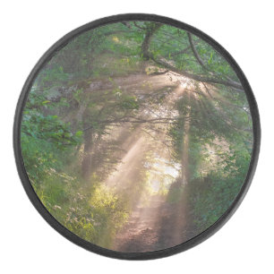 Palet De Hockey sentier forestier