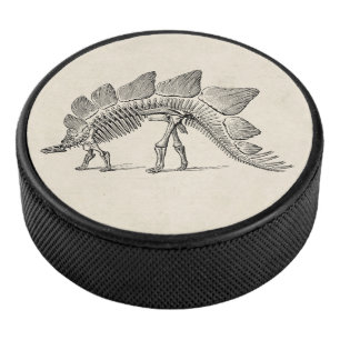 Palet De Hockey Stegosaurus Dinosaure Squelette Fossile