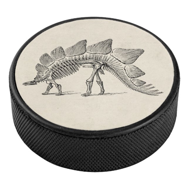 Palet De Hockey Stegosaurus Dinosaure Squelette Fossile (3/4/2016 12:00:00 AM)