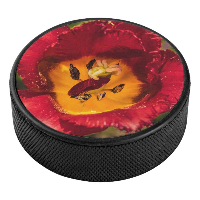 Palet De Hockey Tuliforme rouge (3/4/2016 12:00:00 AM)