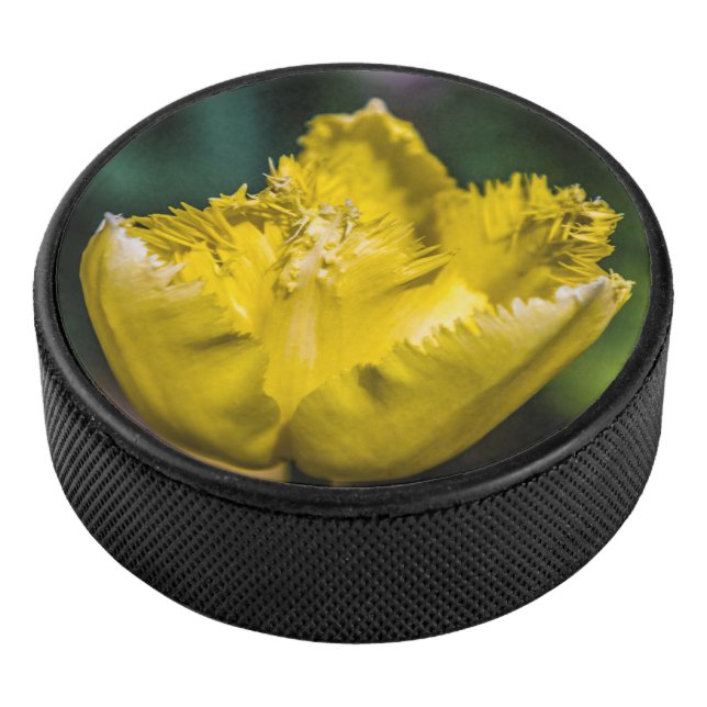 Palet De Hockey Tulipe jaune (3/4/2016 12:00:00 AM)