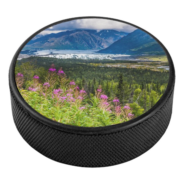 Palet De Hockey Vallée de Matanuska, centre-sud de l'Alaska (3/4/2016 12:00:00 AM)