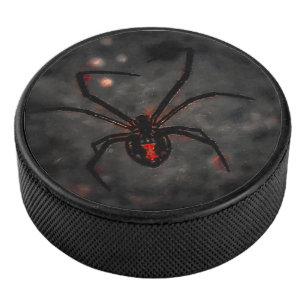 Palet De Hockey Veuve noire