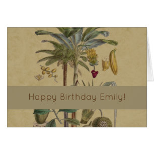 Palm Antique Fruit Tropical Art Botanique