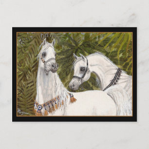 Palm Grove Arabe carte postale