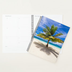 Palm sur la plage de sable blanc