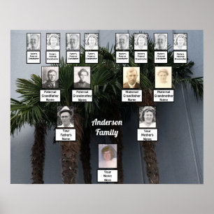 Palm Tree Cluster Photo Family Tree Poster