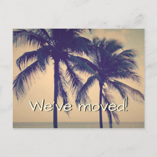 Palm tree photo déménagement cartes postales pour