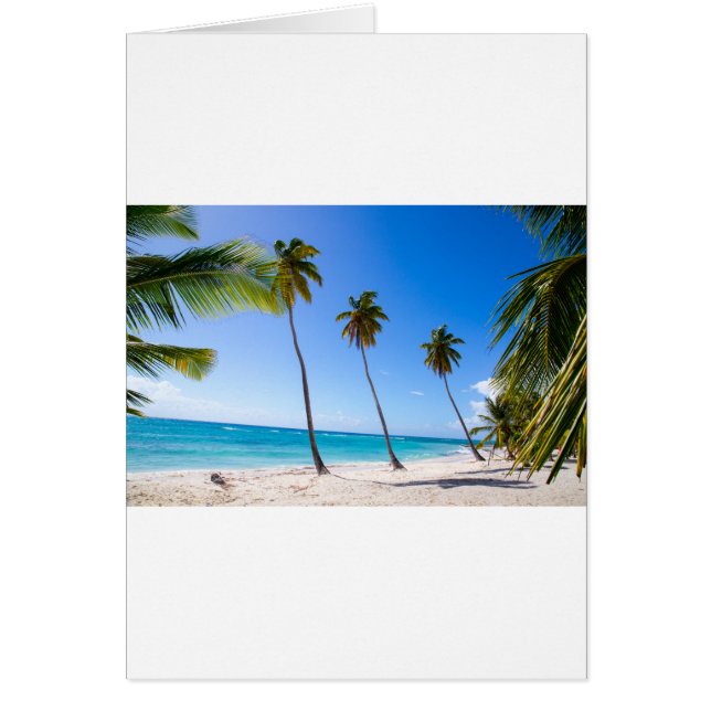 Palm trees on the beach of Isla Saona (Devant)