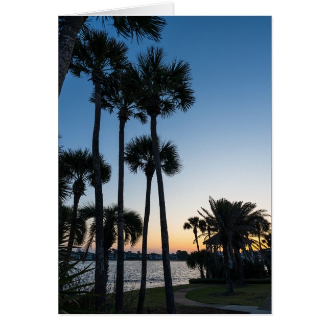 Palm Trees Sunrise Destin Florida Carte de voeux (Devant)