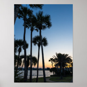 Palm Trees Sunrise Destin Florida Poster