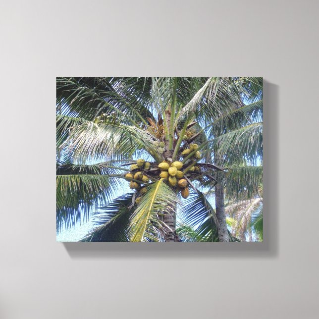 Palme de noix de coco Impression en toile 8x10" (Recto)