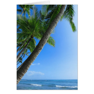 Palmes de coco