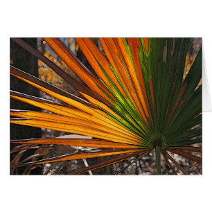 Palmetto roussi