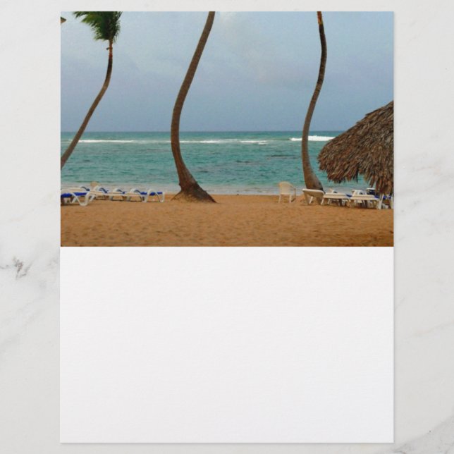 Palmier de plage (Devant)