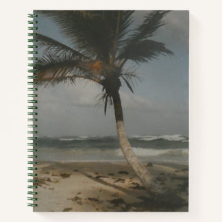 Palmier, Destination Mexique TULUM Cahier
