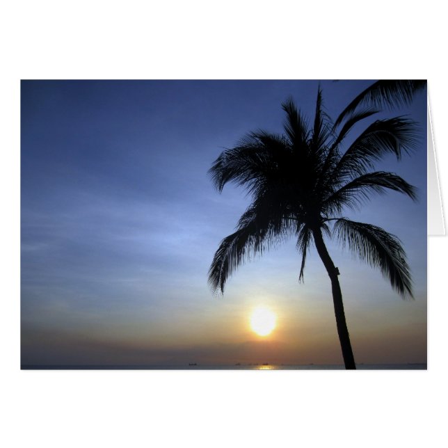 palmier du soleil (Devant horizontal)