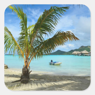 Palmier et autocollant de station balnéaire