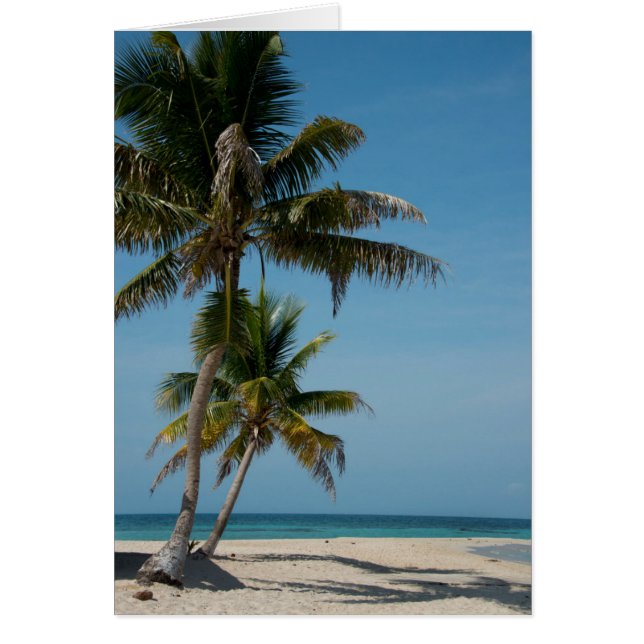 Palmier et plage de sable blanc (Devant)