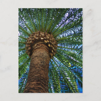 Palmier Et Plage Mariage Invitation