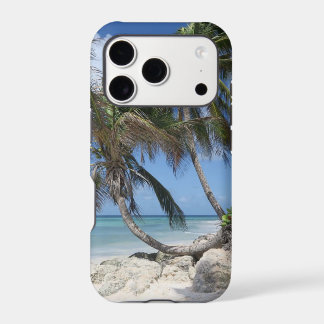 Palmier sur la plage de la Barbade
