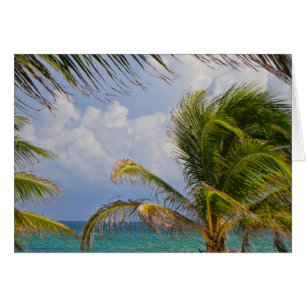 Palmier Tropical encadré