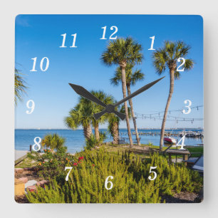 Palmiers Bayside Matin Horloge murale